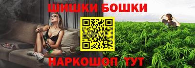 a pvp Камышлов