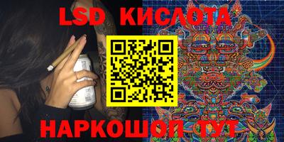 a pvp Камышлов