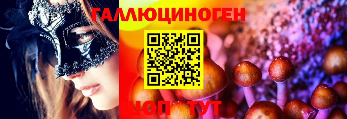 Псилоцибиновые грибы мицелий  Галлюциногенные грибы GOLDEN TEACHER  Буйнакск  Вход с VPN 