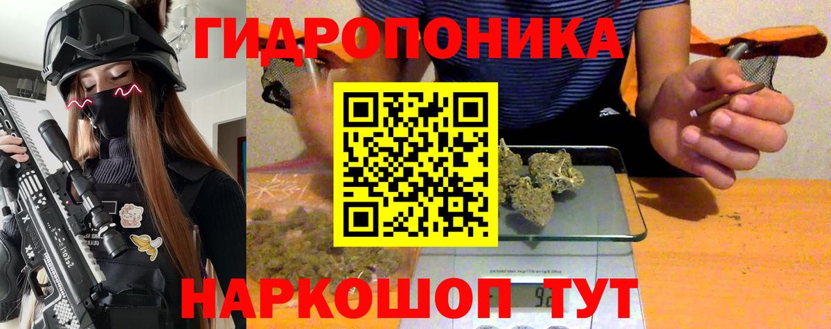 Каннабис LSD WEED  Бошки Шишки гибрид  Каннабис семена  Буйнакск  Вход с VPN 